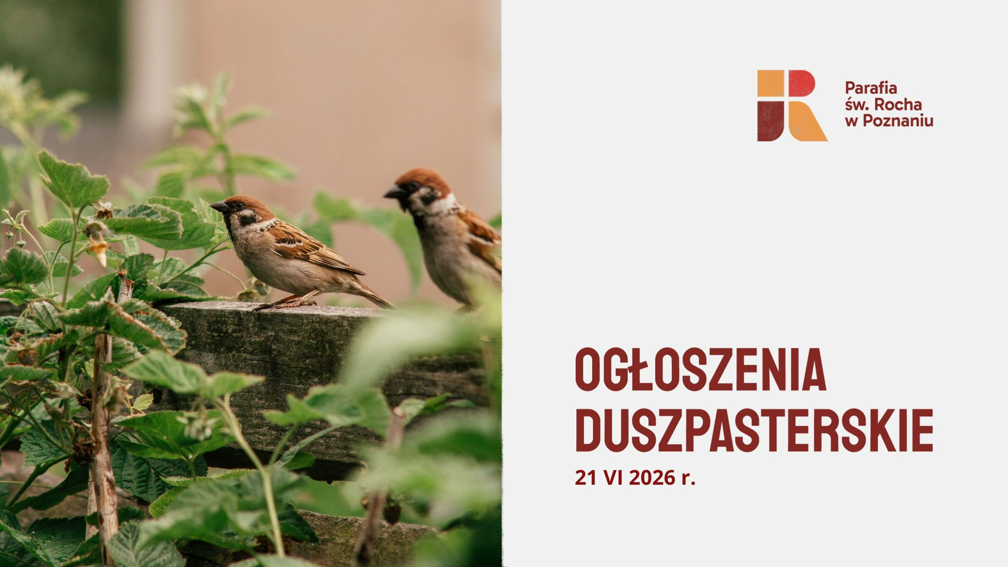 12 Niedziela zwykła, 21 czerwca 2026 roku