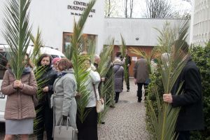 IMG 7773