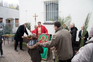 IMG 7774