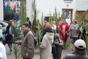 IMG 7780