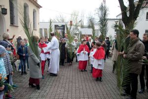IMG 7783