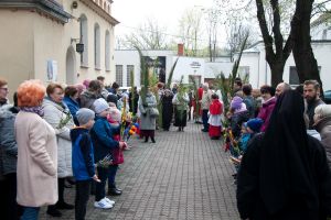 IMG 7784