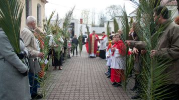 IMG 7785