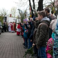 IMG 7816