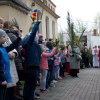 IMG 7818
