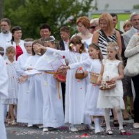 IMG 8781