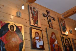 DSC 0297 Cisna Galeria Veraikon