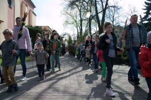 IMG 8617