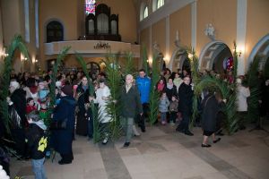 IMG 5117