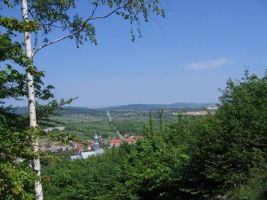 swietokrzyskie 31