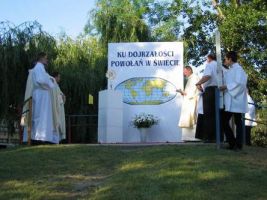 bcialo07 37