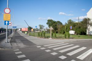IMG 4168